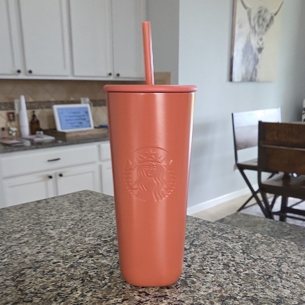 Starbucks 2024 Terracotta Tumbler with Straw